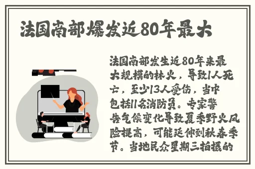 草蜢电影在线观看